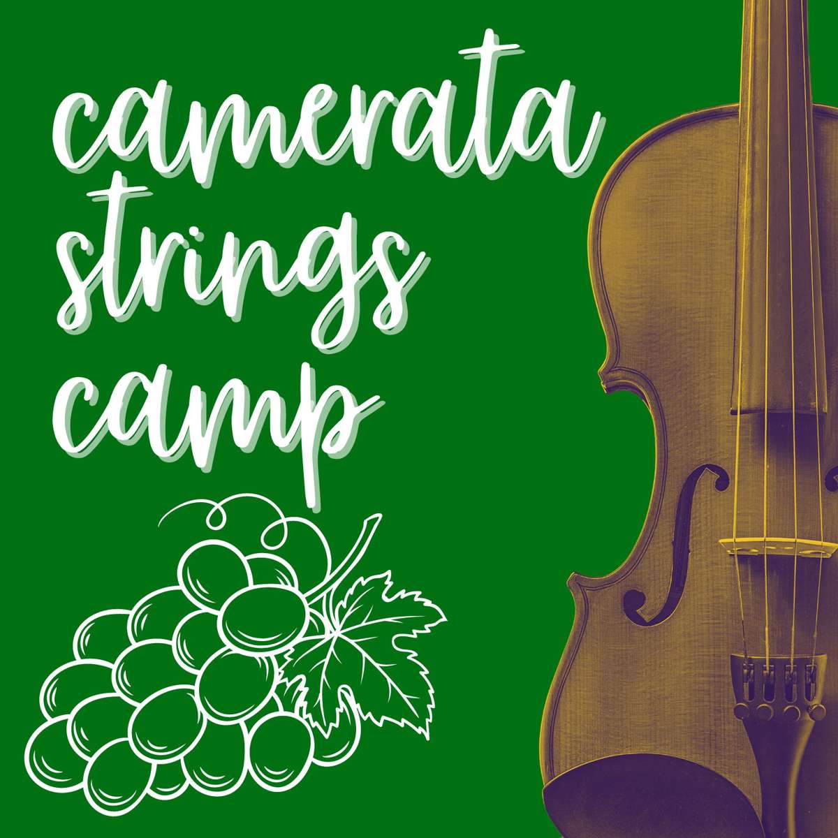 Camerata Strings Camp