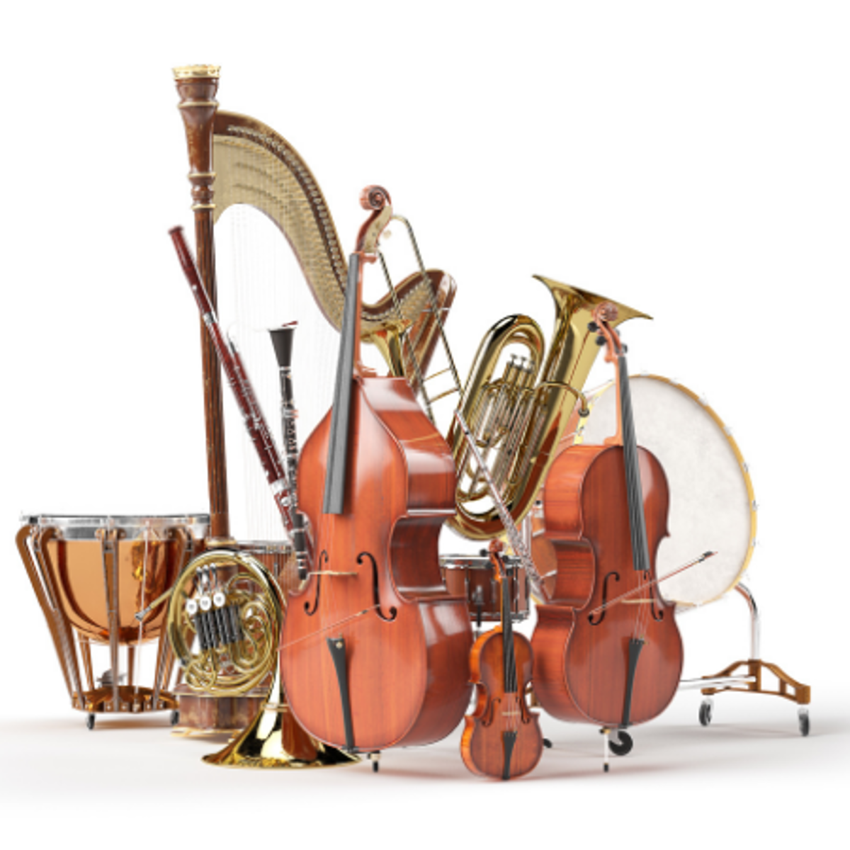 Meet the Orchestra