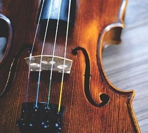 Violin